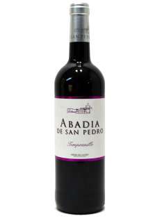 Abadía de San Pedro