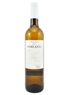 Vin blanc Morlanda Blanc