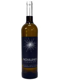 Vin blanc Novilunio