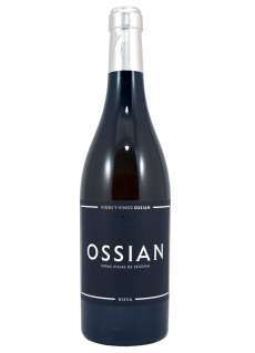 Vin blanc Ossian
