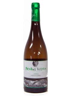 Vin blanc Regina Viarum Godello