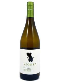 Vin blanc Vionta Godello