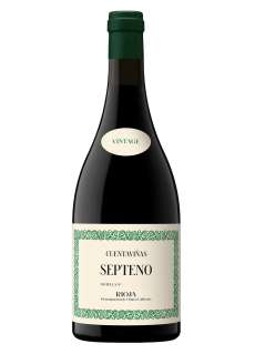 Vin rouge Cuentaviñas Septeno