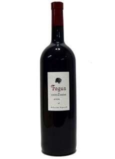 Vin rouge Fagus Magnum