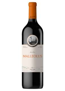 Vin rouge Malleolus
