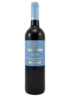 Vin rouge Valdubón 9 Meses